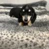 Oscar