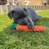 Oliver
