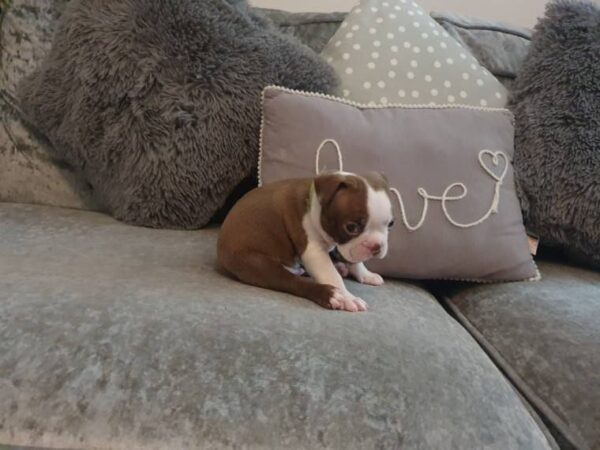 Billy