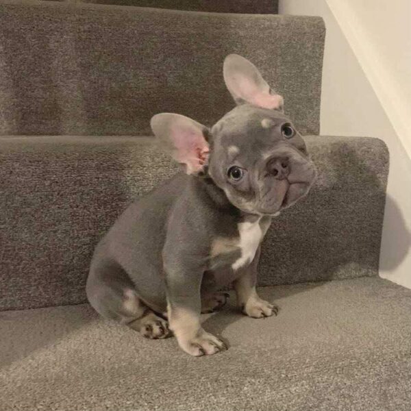 Luna