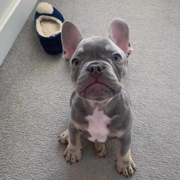 Luna